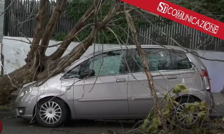 Il maltempo ha messo in ginocchio #Napoli per 24 ore. Danni e difficoltà si sono registrati in più zone della città, soprattutto