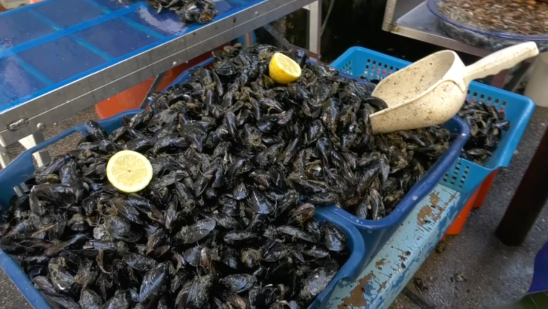 Torna la zuppa di cozze solidale: oltre un quintale di prodotti tra cozze, vongole, gamberoni e polpi, ma anche freselle ed olio piccante sono stati destinati al Centro Prima Accoglienza di via De Blasiis, a Napoli. L'occasione è il giovedì santo che precede la domenica di Pasqua. L'iniziativa rivolta agli ospiti dell'ex dormitorio pubblico è stata voluta dagli assessori al Commercio e al Welfare, Teresa Armato e Luca Trapanese, insieme al presidente del Caan Carmine Giordano. E' partito proprio dal più grande Centro agroalimentare del Sud Italia un carico destinato a 80 persone senza fissa dimora