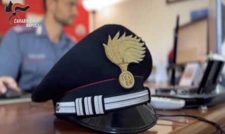 arresti e sequestri a napoli operazione gdf carabinieri