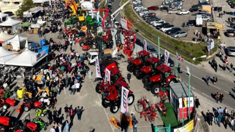 fiera di venticano foto avlive