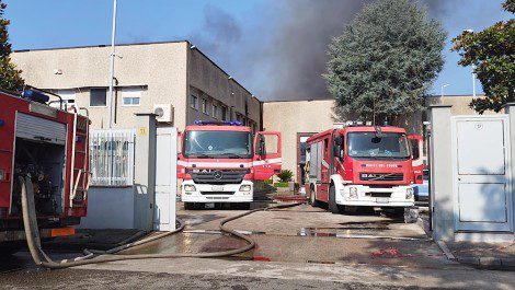 Le fiamme sono scoppiate questa mattina all'interno dei capannoni di un'azienda alimentare di Pozzuoli: danni ingenti per l'attività